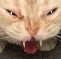 grm8