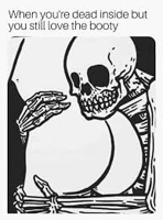 booty hugger