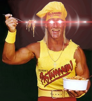 H U L K  H O G A N