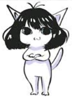 the undercover J