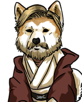 Kozuel