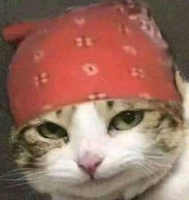 LilTaro