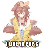 Kodasai