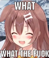 What? What the Fuck?!