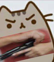 ImHoos