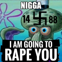 nigger destroyer