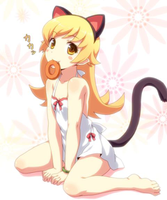5cats