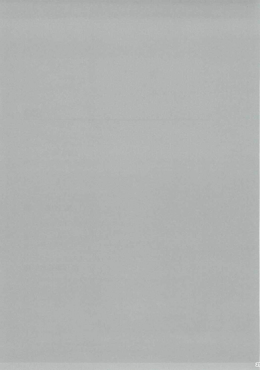 SSR - Page 24