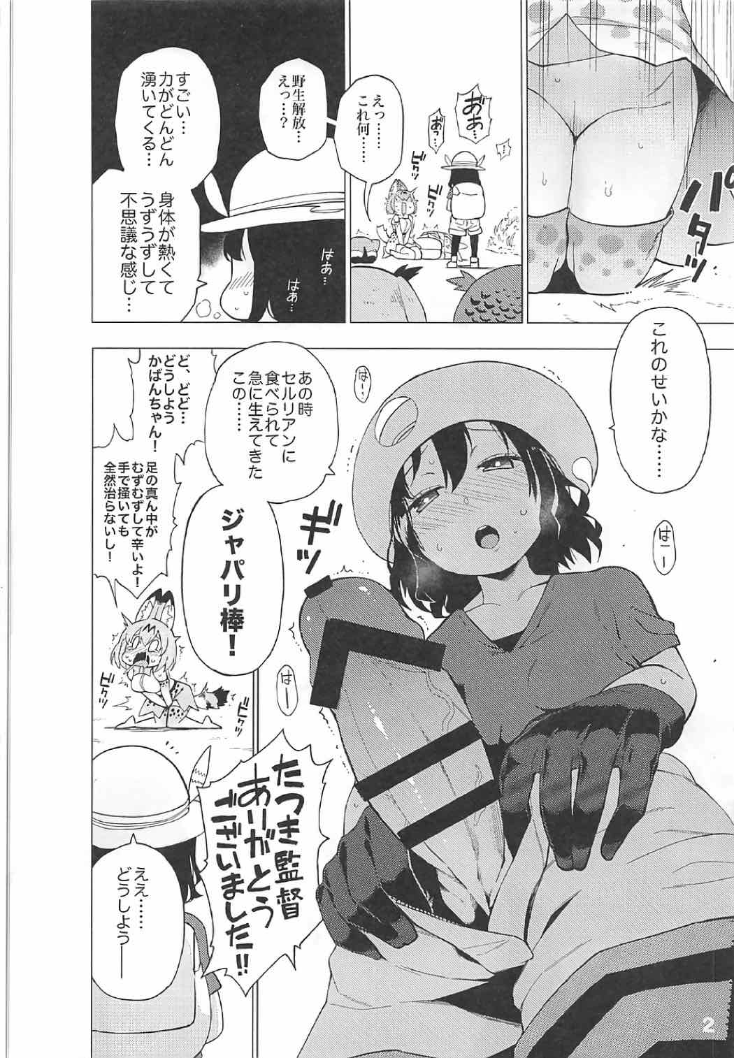 Preview page 3