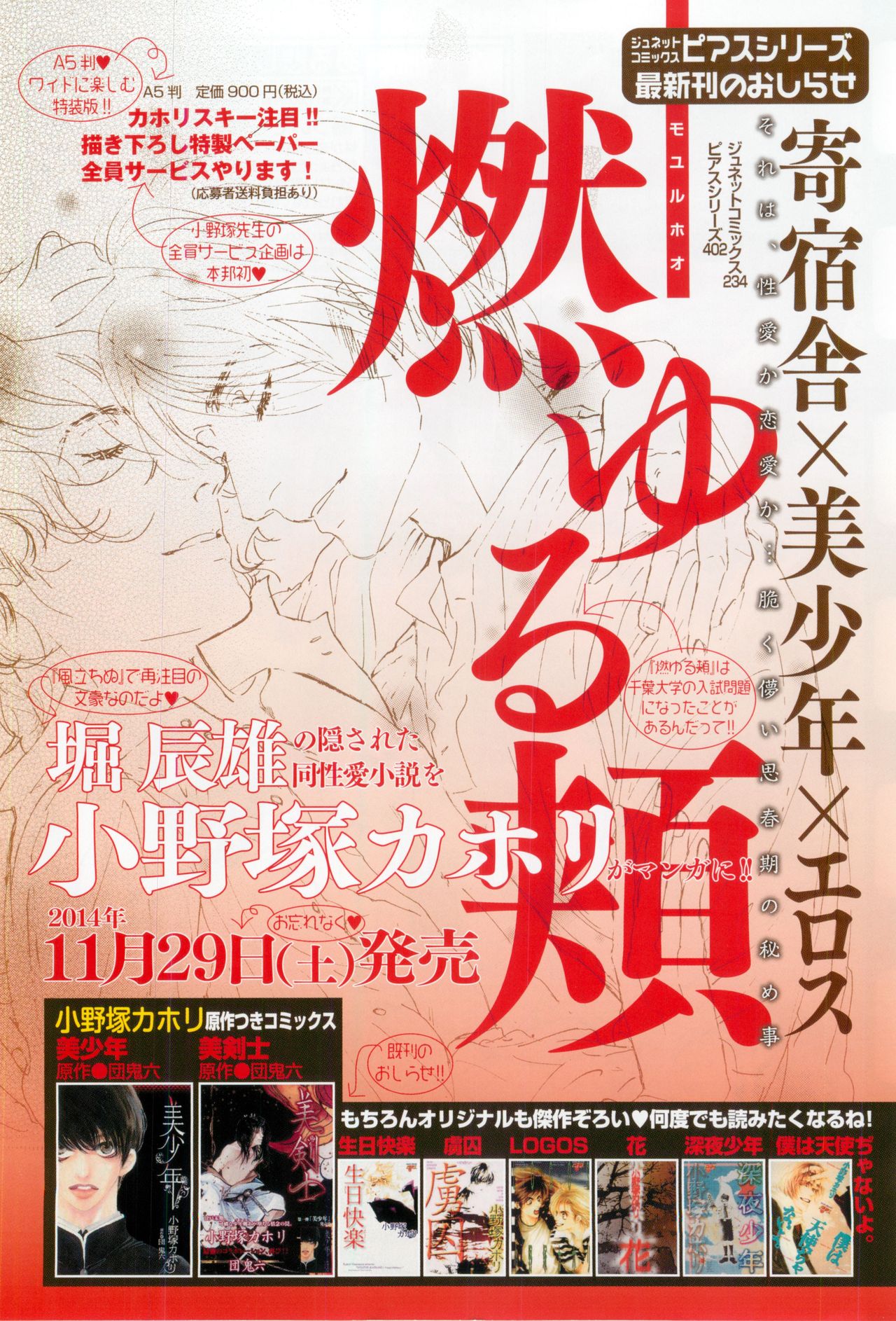 BOY'S ピアス 2014-11 - Page 234