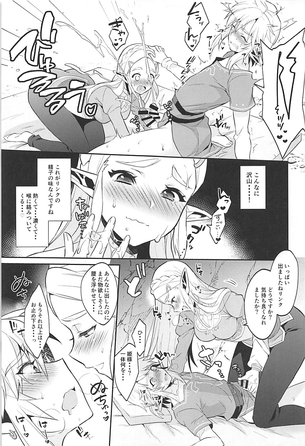 Hyrule Hanei no Tame no Katsudou! - Page 12