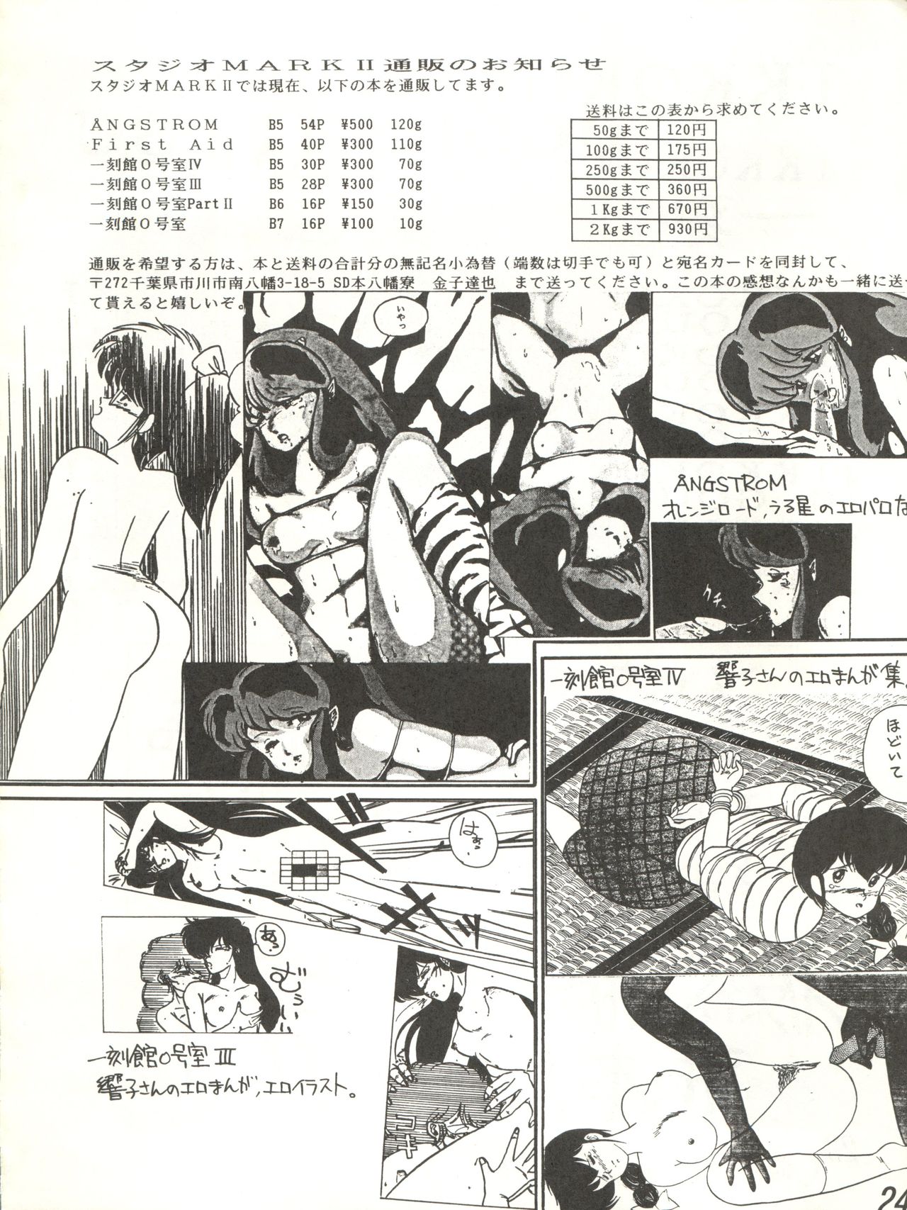 Ikkoku-kan 0 Gou Shitsu Part V - Page 24