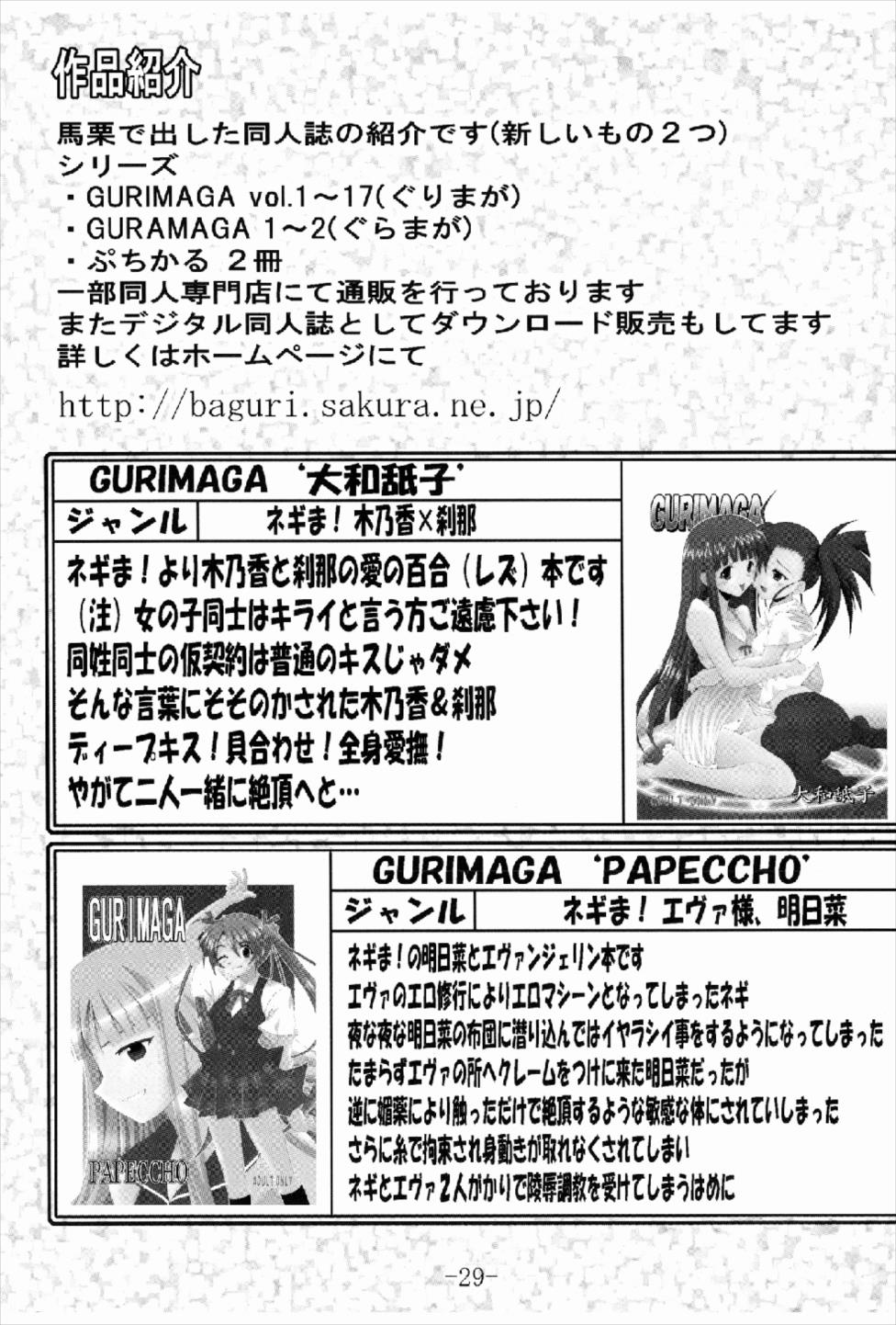 GURIMAGA Setsuna no Mousou Yume Shibai - Page 29