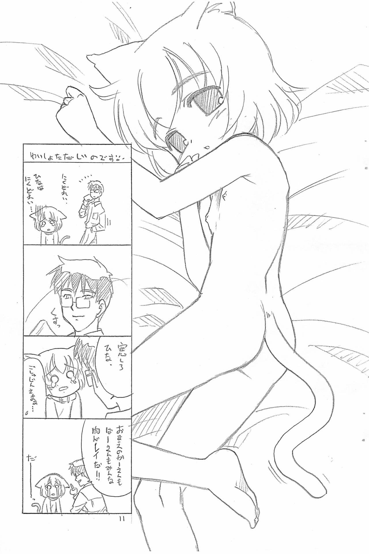 Hina to Yukai na Goshujin-sama. - Page 11