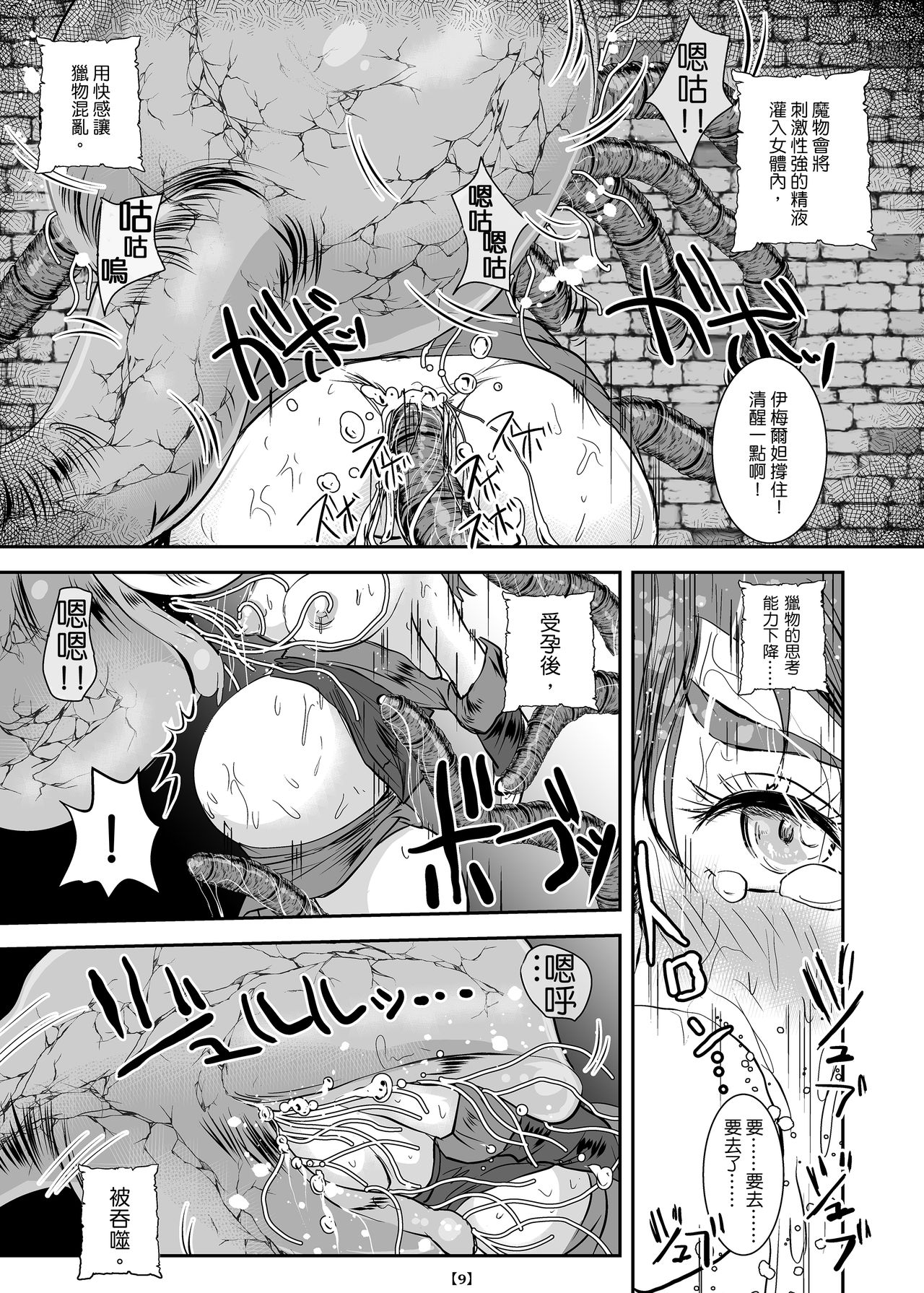 Marunomijo no Himekishi | 完全吞噬城堡之公主騎士 - Page 12