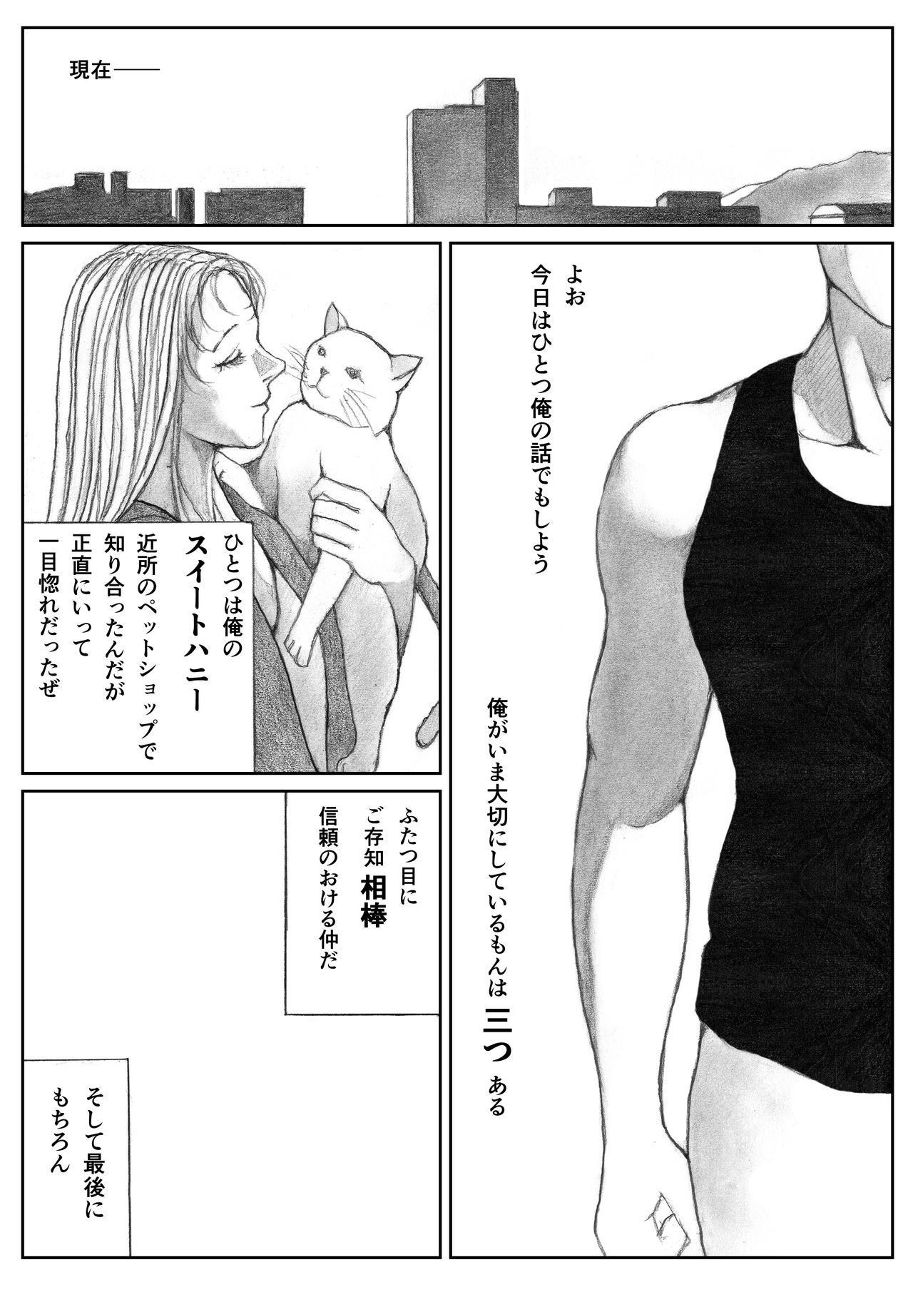 Katte ni Buta Aigo ♡ - Page 13