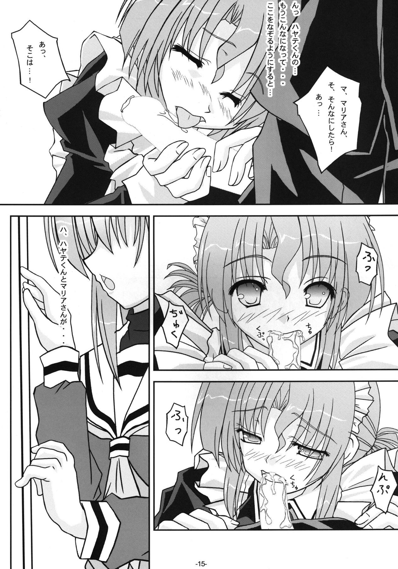 Hinagiku-san ga Miteru RX - Page 14