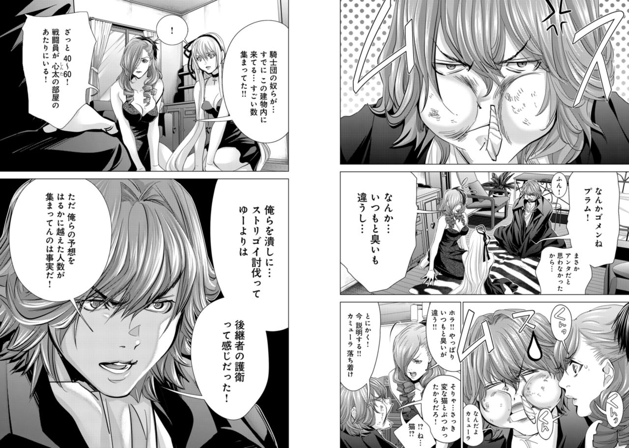 Holy Knight ~Junketsu to Ai no Hazama de~ Vol. 8 - Page 9