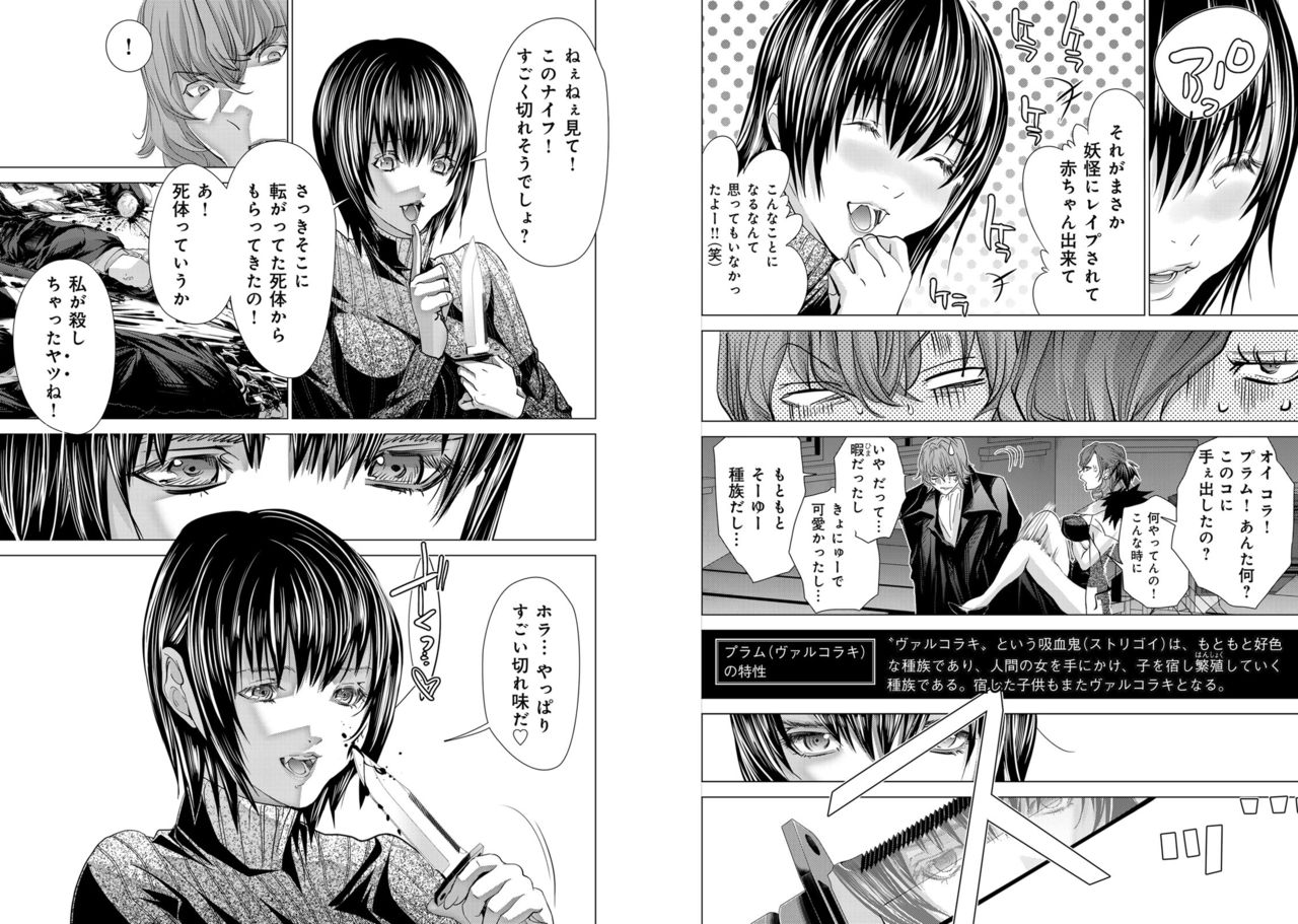 Holy Knight ~Junketsu to Ai no Hazama de~ Vol. 11 - Page 10