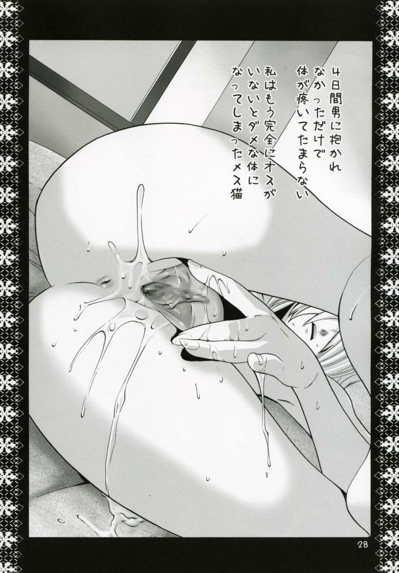 Mithra Choukyou Enikki - Page 27