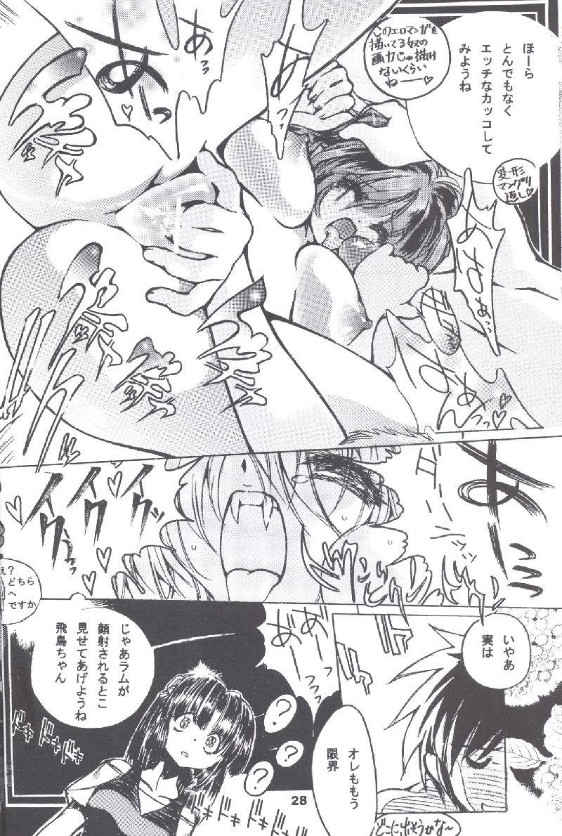 NDL 4 Tsuide - Page 29