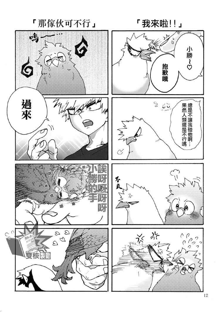 Ai to Tori no Yokubou Kitan | 爱与鸟的欲望奇谭 - Page 13