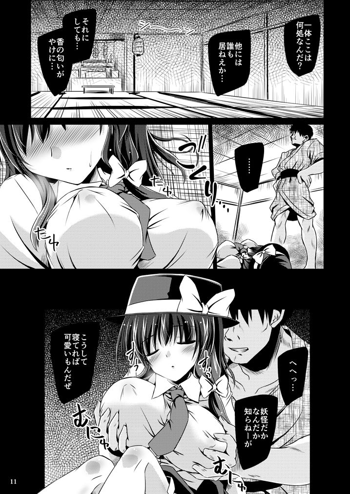 Yume to Utsutsu no Kyoukai de (Touhou Project) [Digital - Page 11