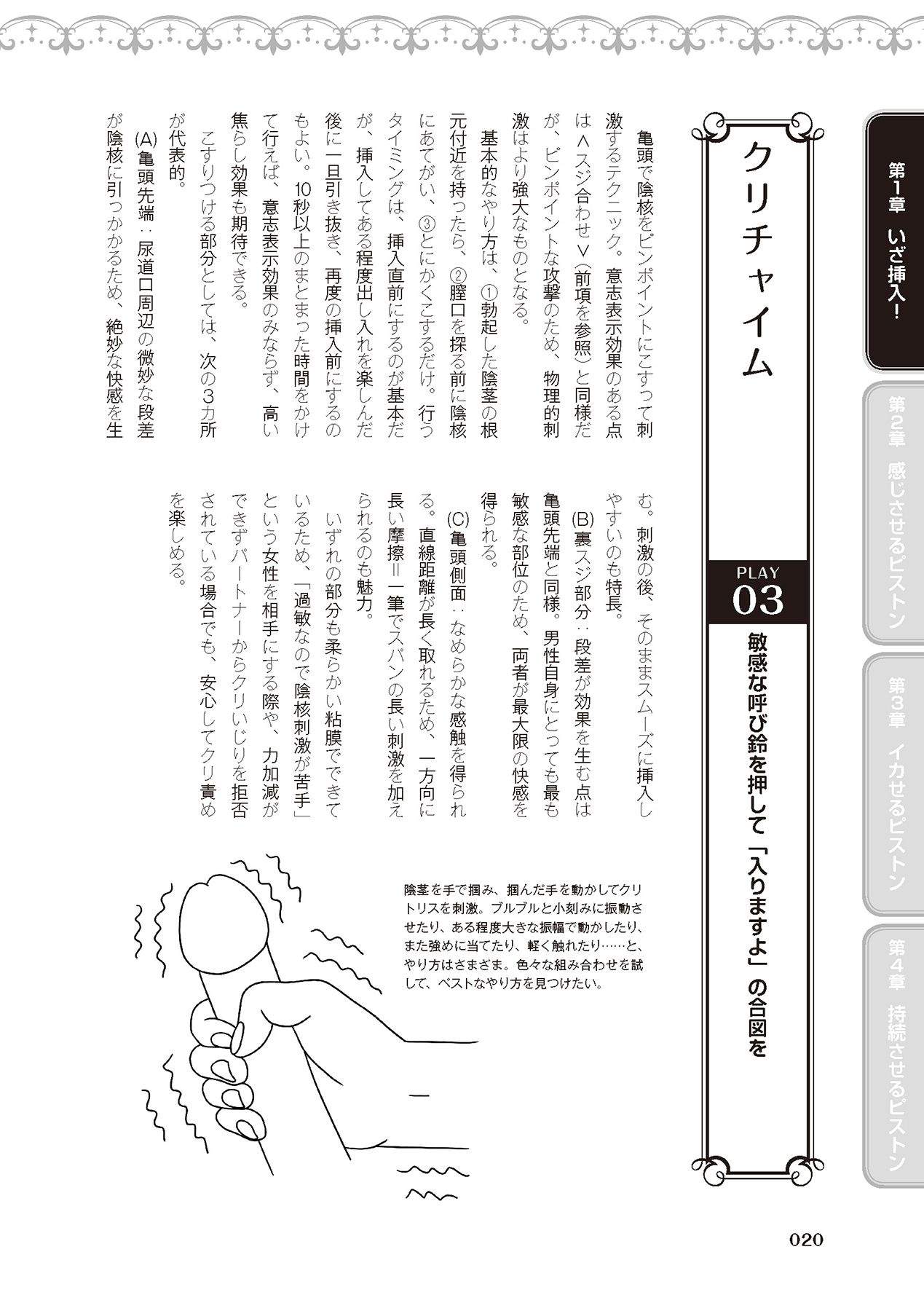 膣挿入＆ピストン運動完全マニュアル イラスト版……ピスとんッ！ - Page 22