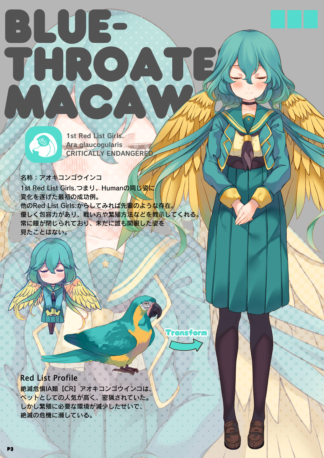 Preview page 3