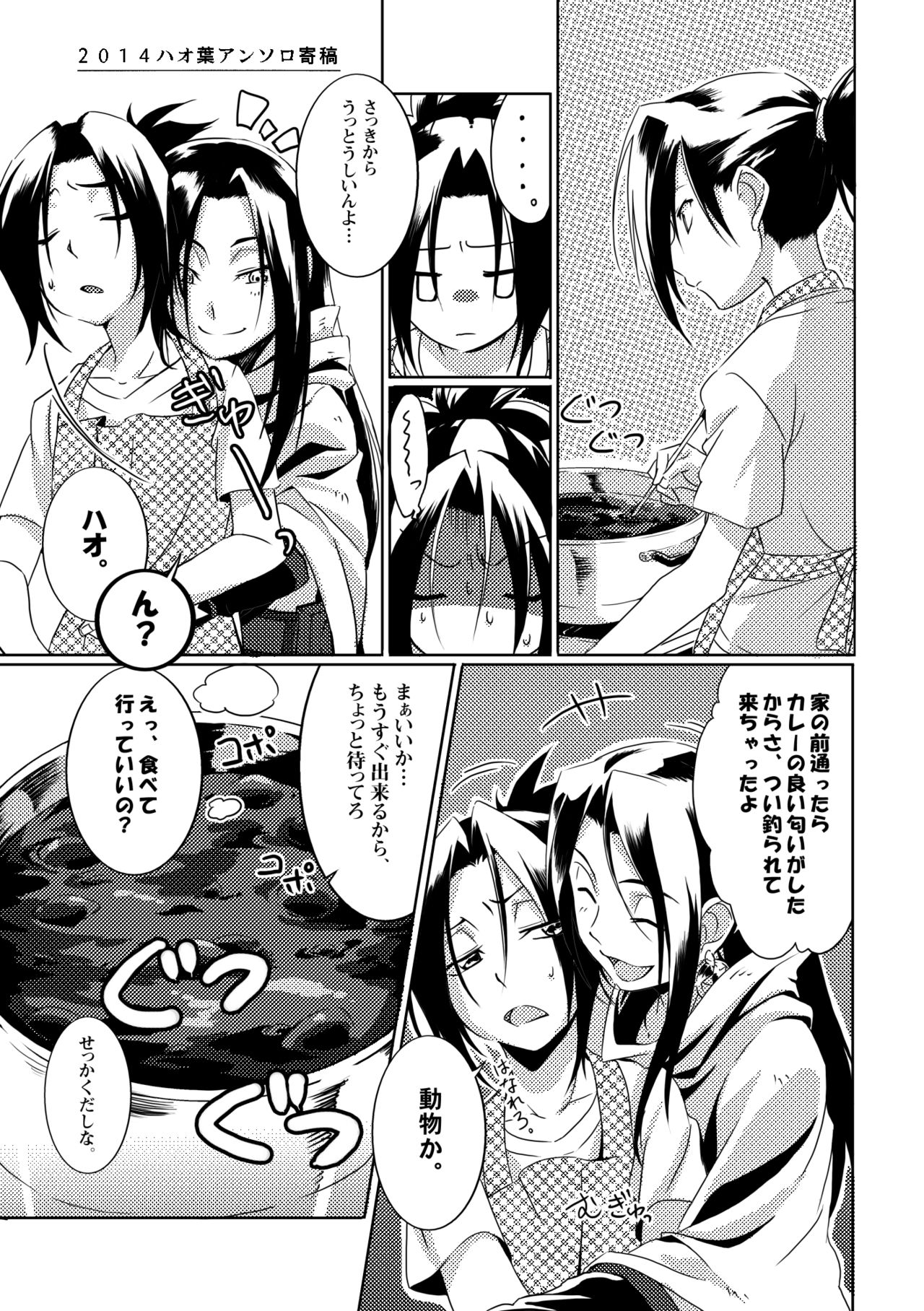 Boro Goya HaoYoh Sairokushuu - Page 13