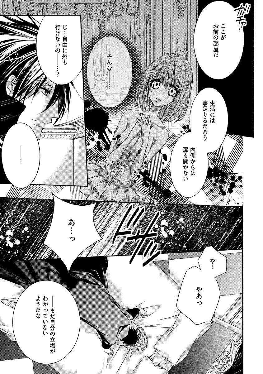 鬼畜兄弟の悶絶調教～私はいいなり奴隷～ - Page 33