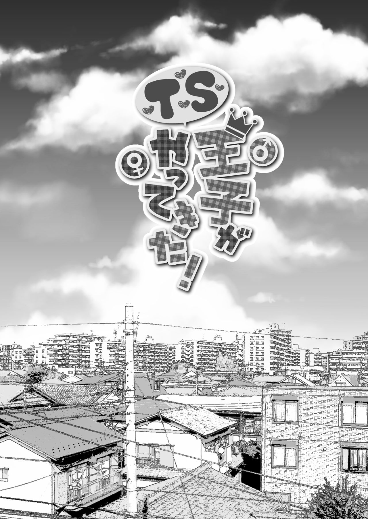 TS Ouji ga Yattekita! - Page 40