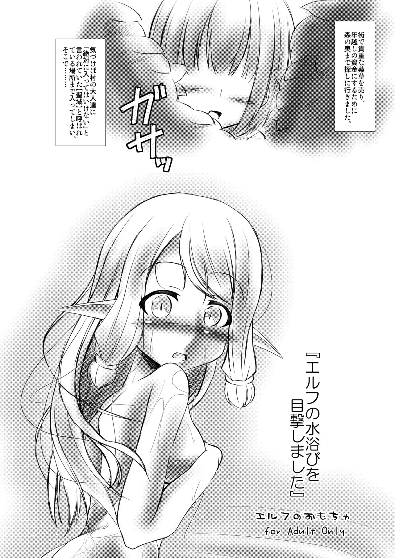 Elf Musume to no Kouryuu Seikatsu - Page 26