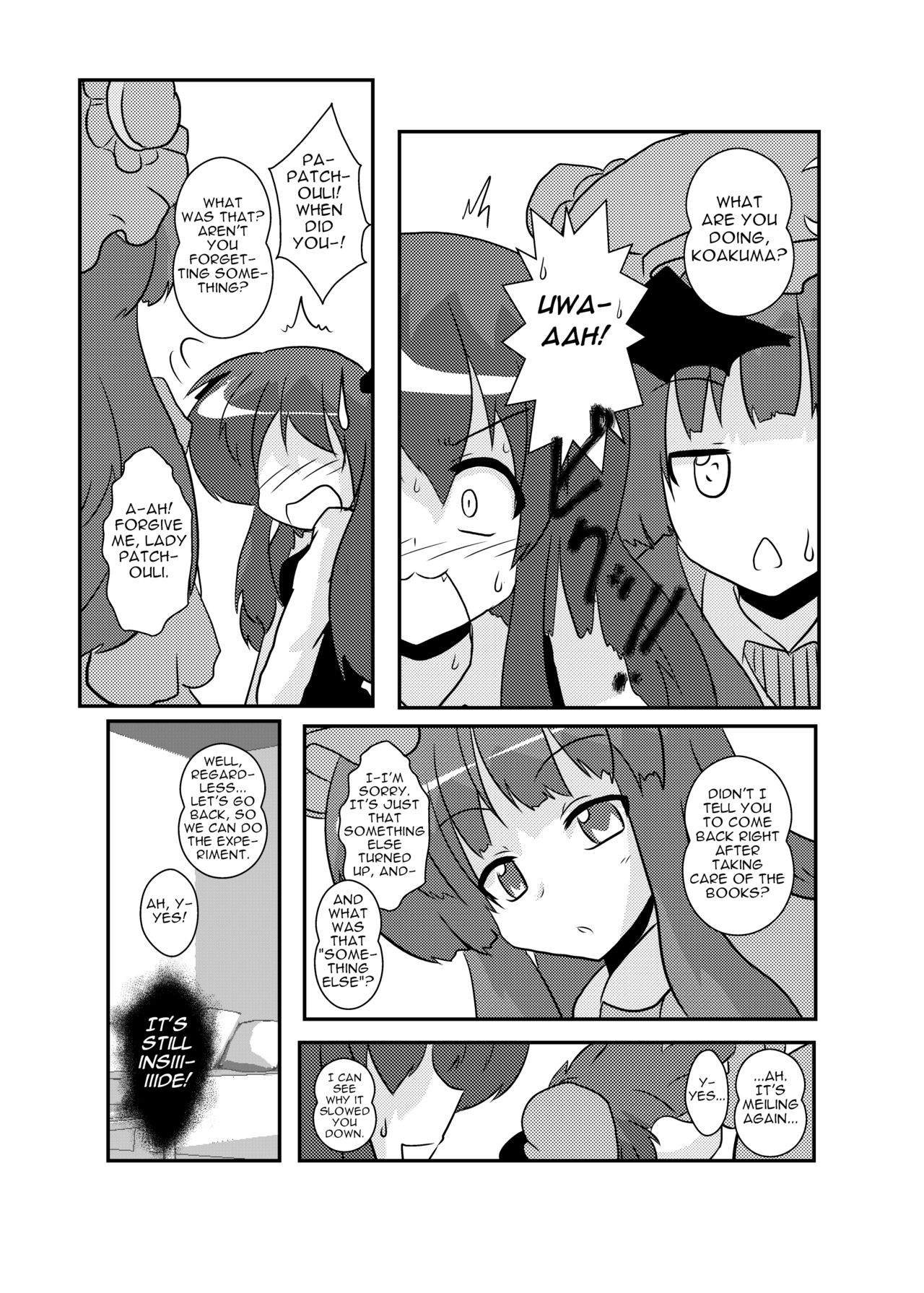Touhou TS Monogatari ~Koakuma-Hen~ - Page 12