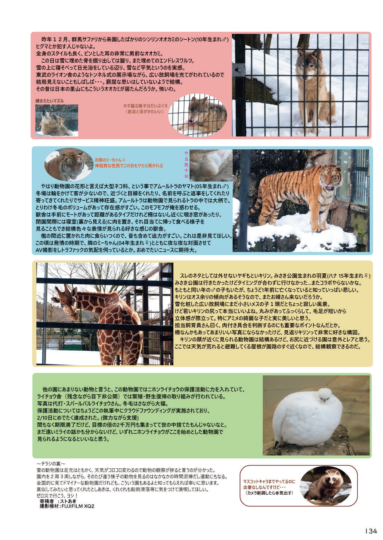 may Kemono Friends Thre Goudoushi - Page 136