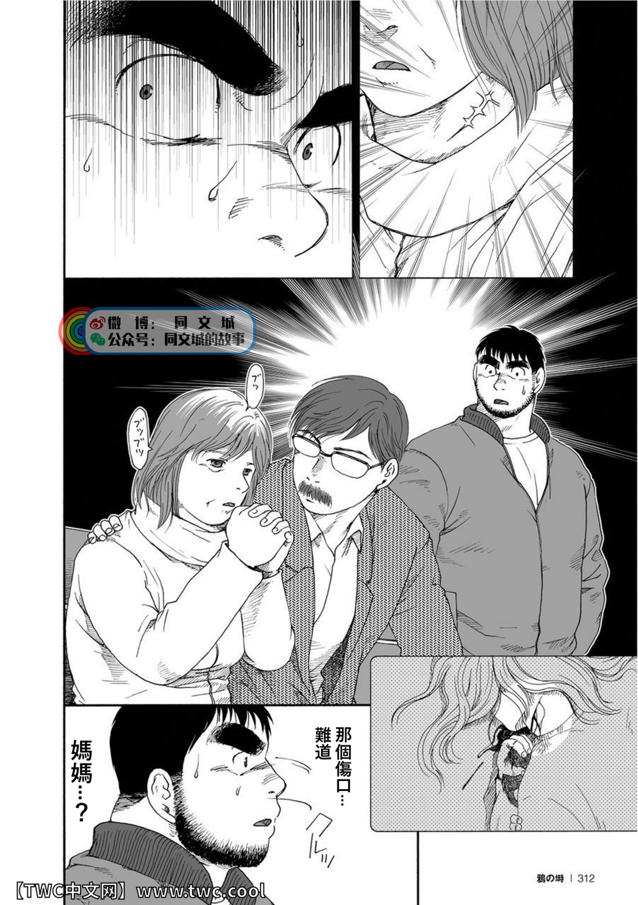 Karasu no Negura - Page 310