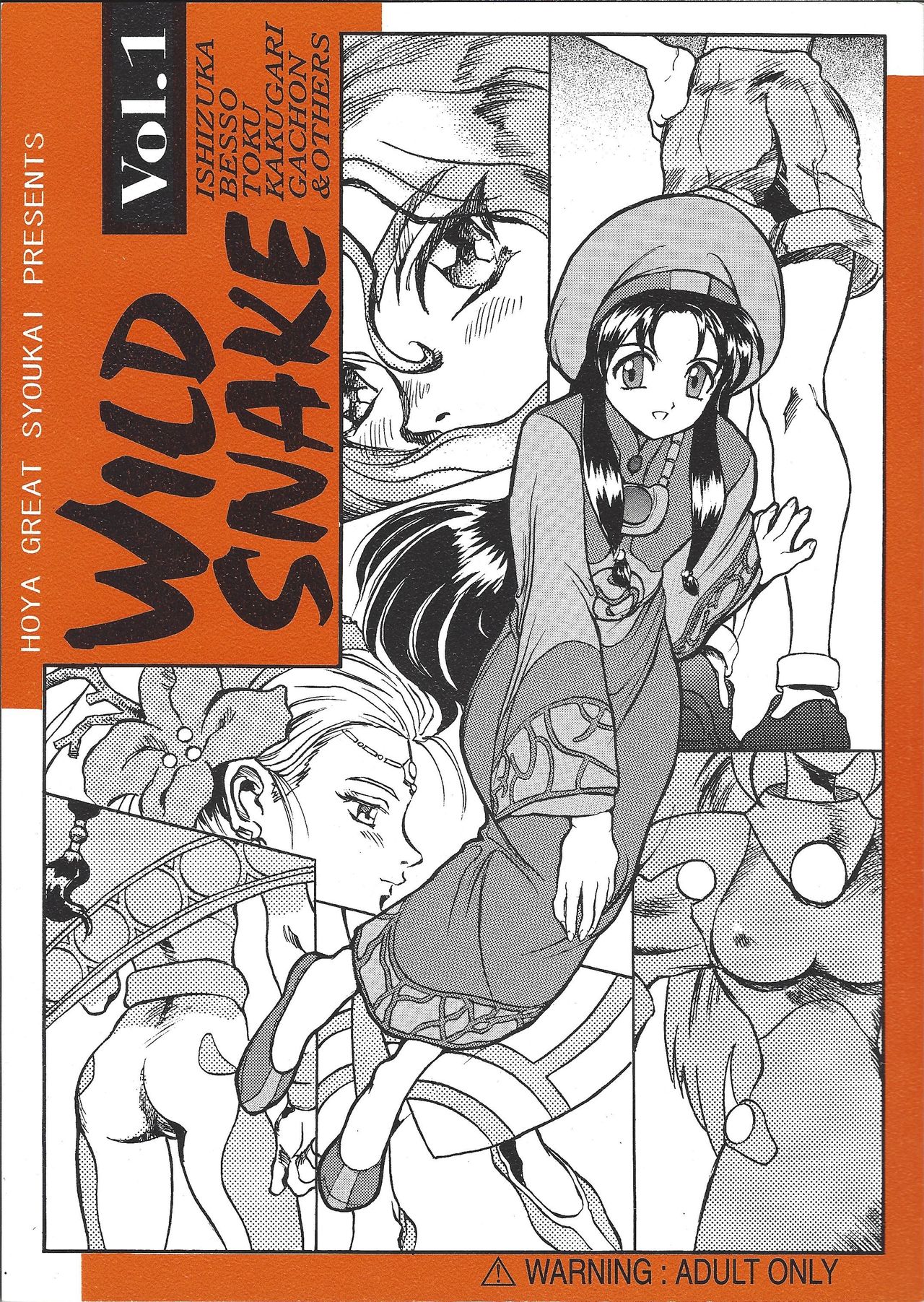 Preview page 1