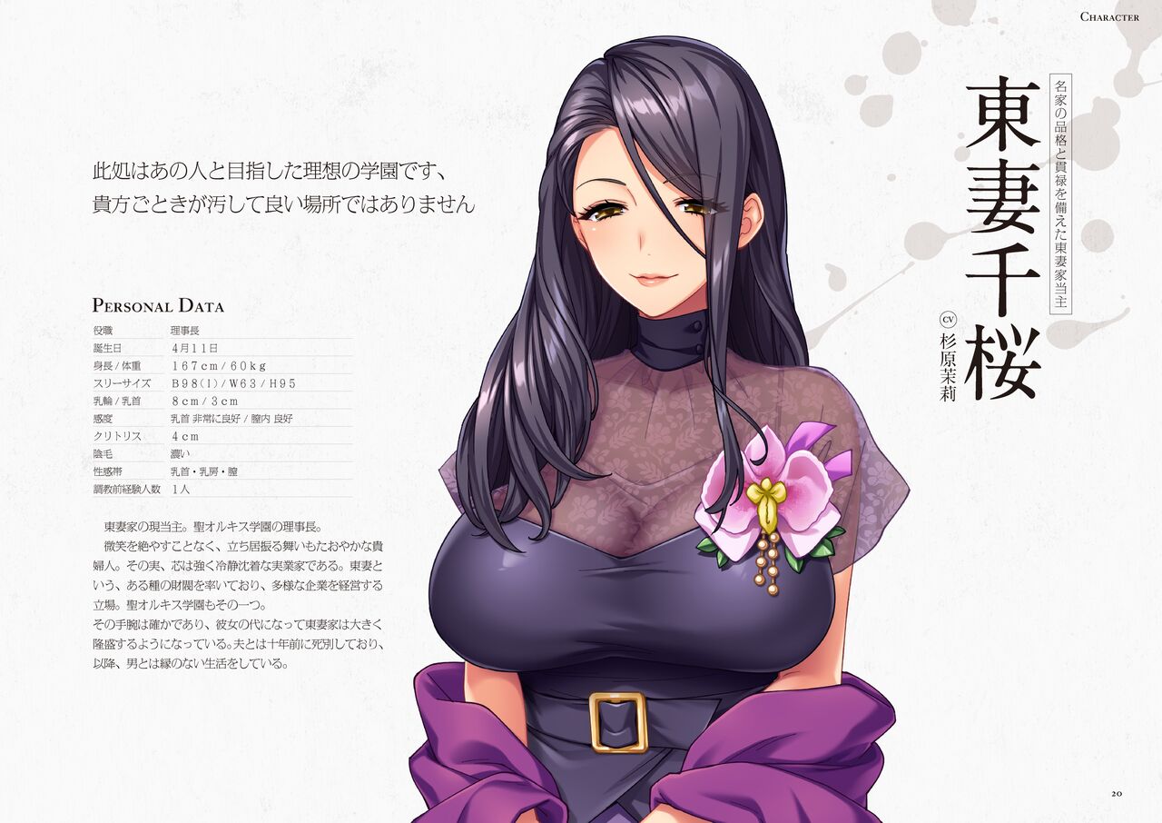 Seidorei Gakuen 2 Original Digital Art Collection - Page 20