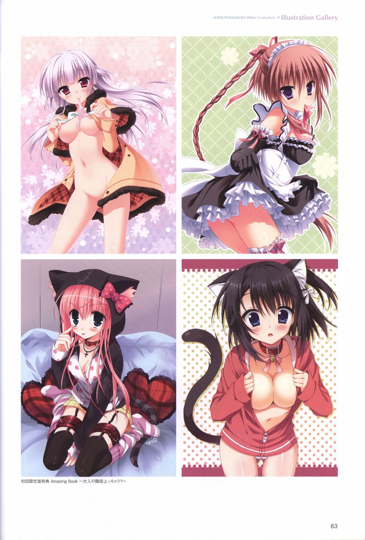 Hatsuyuki Sakura Visual Fanbook - Page 67