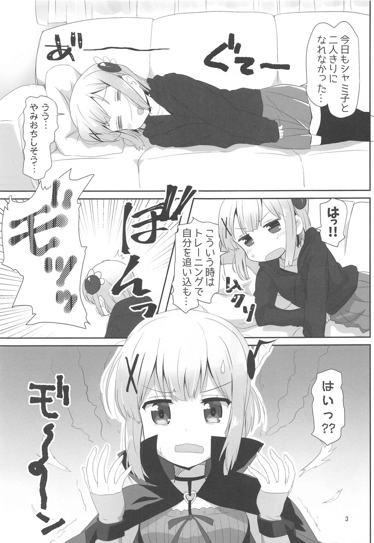 Preview page 2