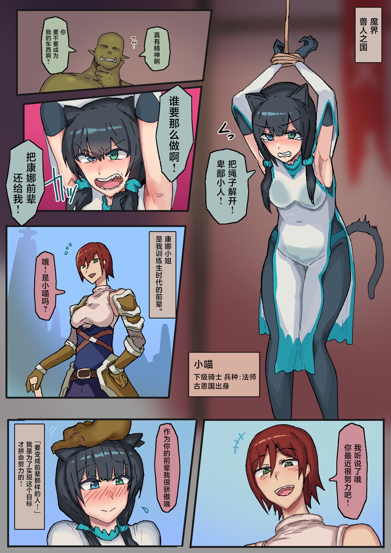 オークに大切なパートナーを奪われた話 - Page 12