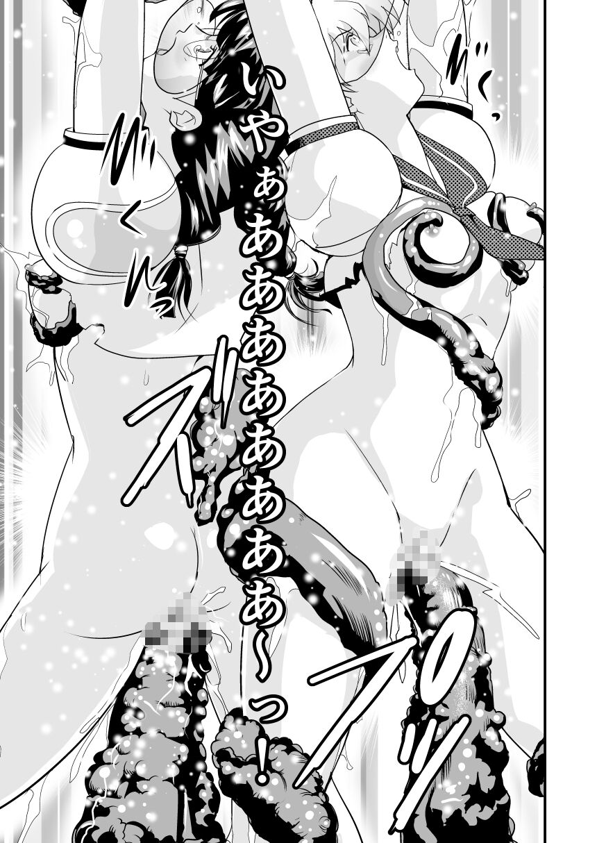 HagoromoVENUS完全版 - Page 14
