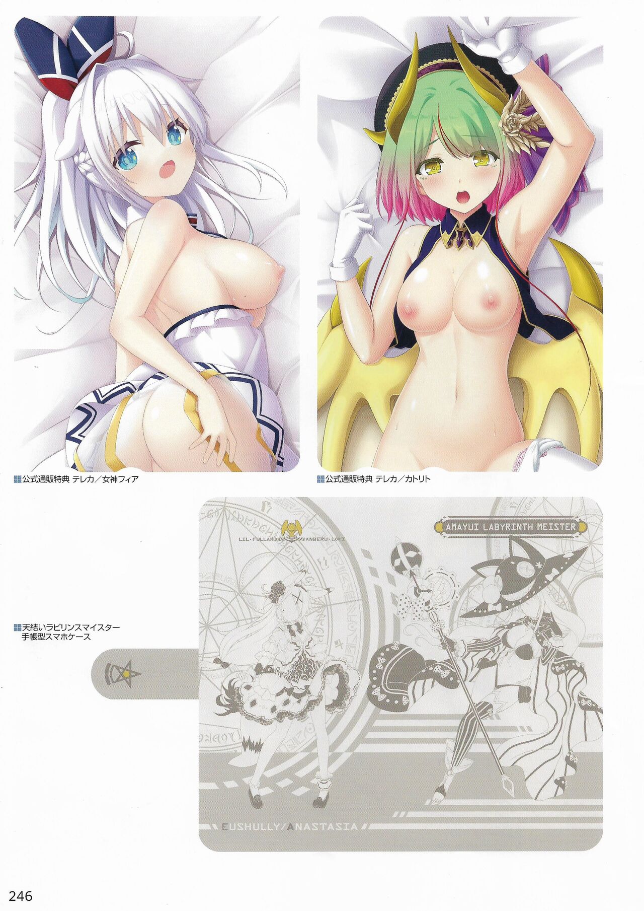 Amayui Labyrinth Meister Perfect Guidebook - Page 249
