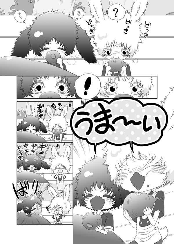 Usagi no Hon - Page 13