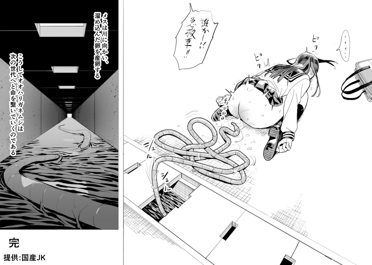 Oohariganemushi No Seitai - Page 12