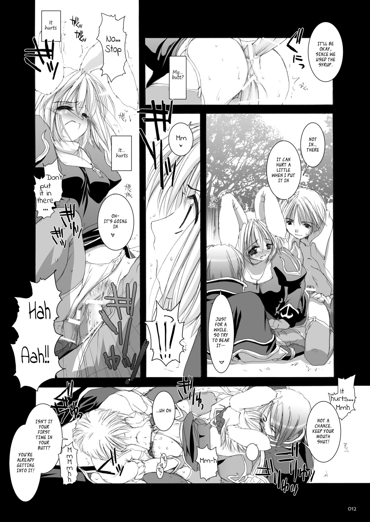 DL-RO Soushuuhen 02 - Page 13