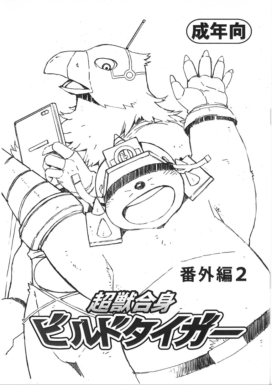 Choujuu Gasshin Build Tiger 番外篇 - Page 17