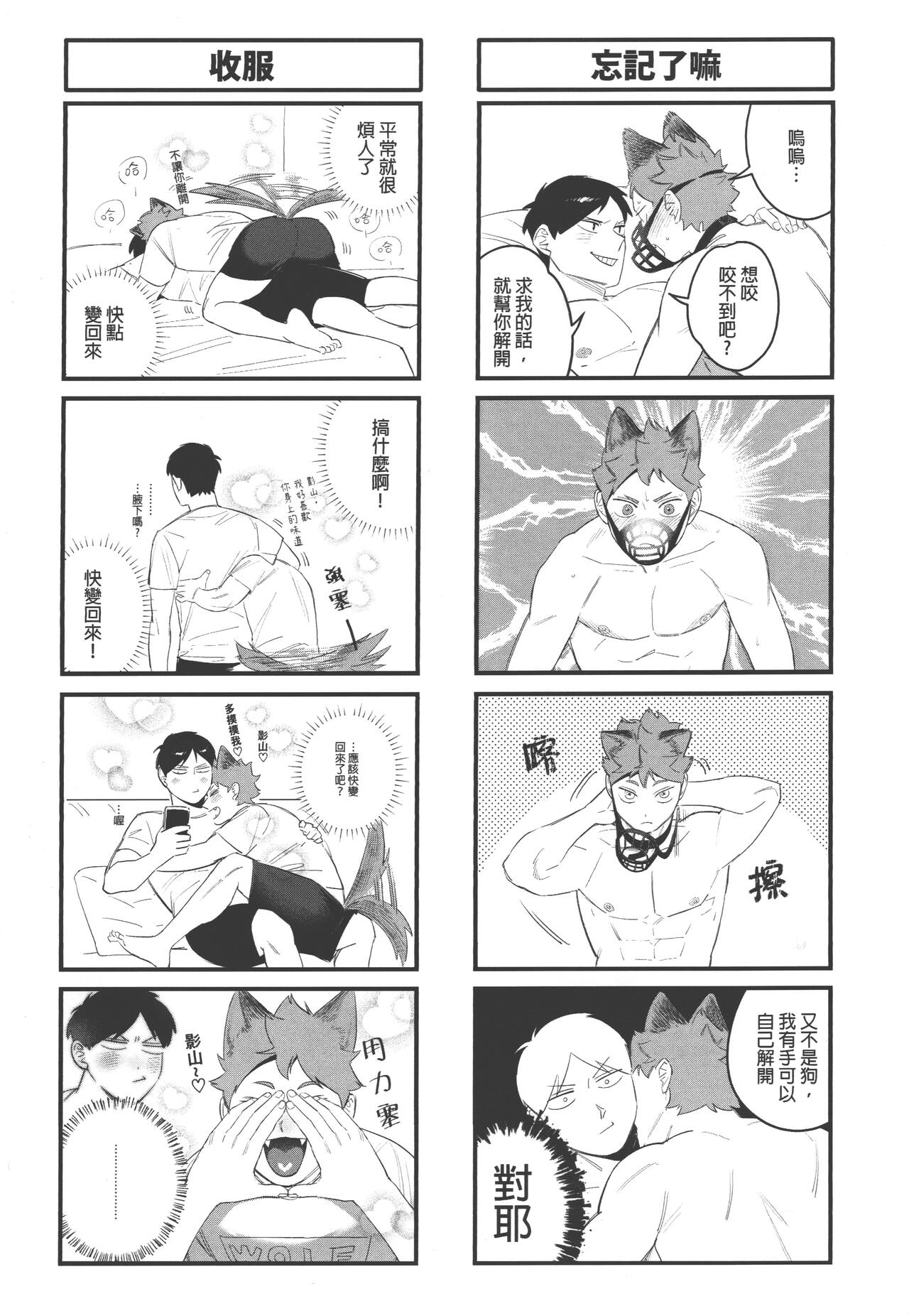 影山飛雄變成兔子了! - Page 28