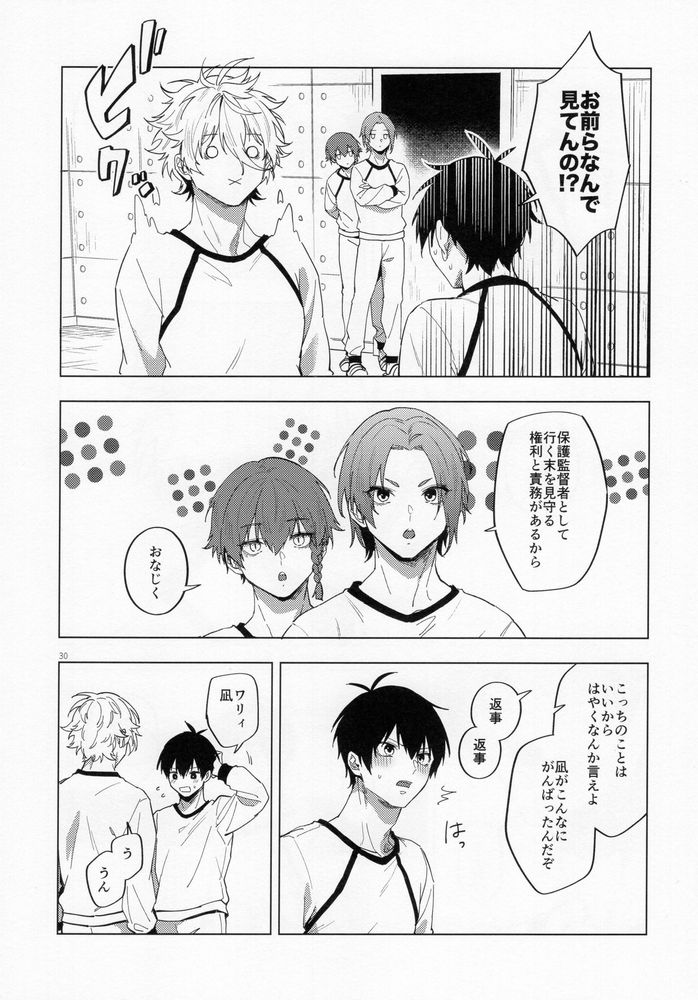 Aibou-sama no iutoori - Page 29