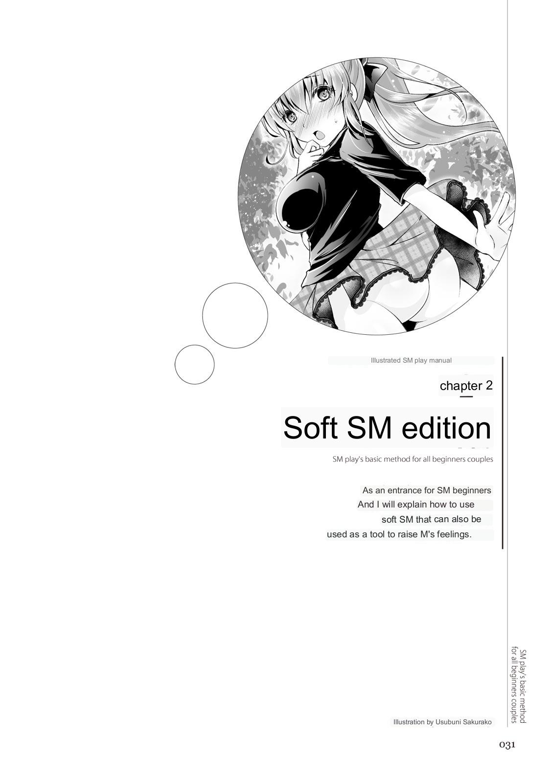 SM play manual - Page 29